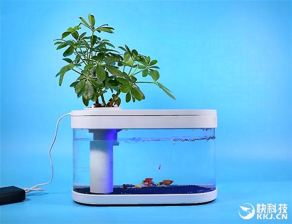 Xiaomi Fish Tank