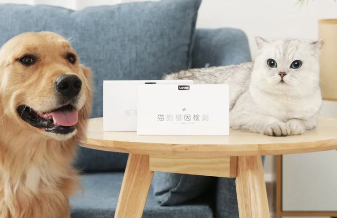 Xiaomi test del DNA cani e gatti