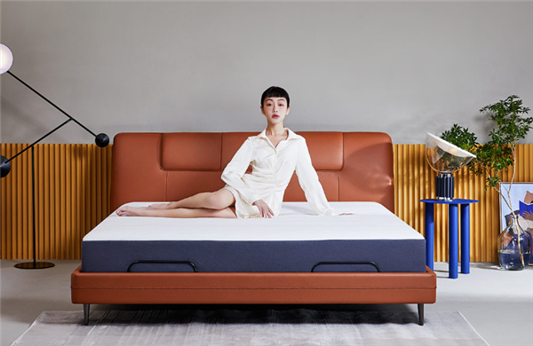 Xiaomi 8H Feel Leather Smart Electric Bed X Pro (3)