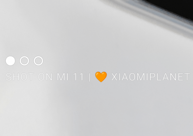 Xiaomi watermark filigrana